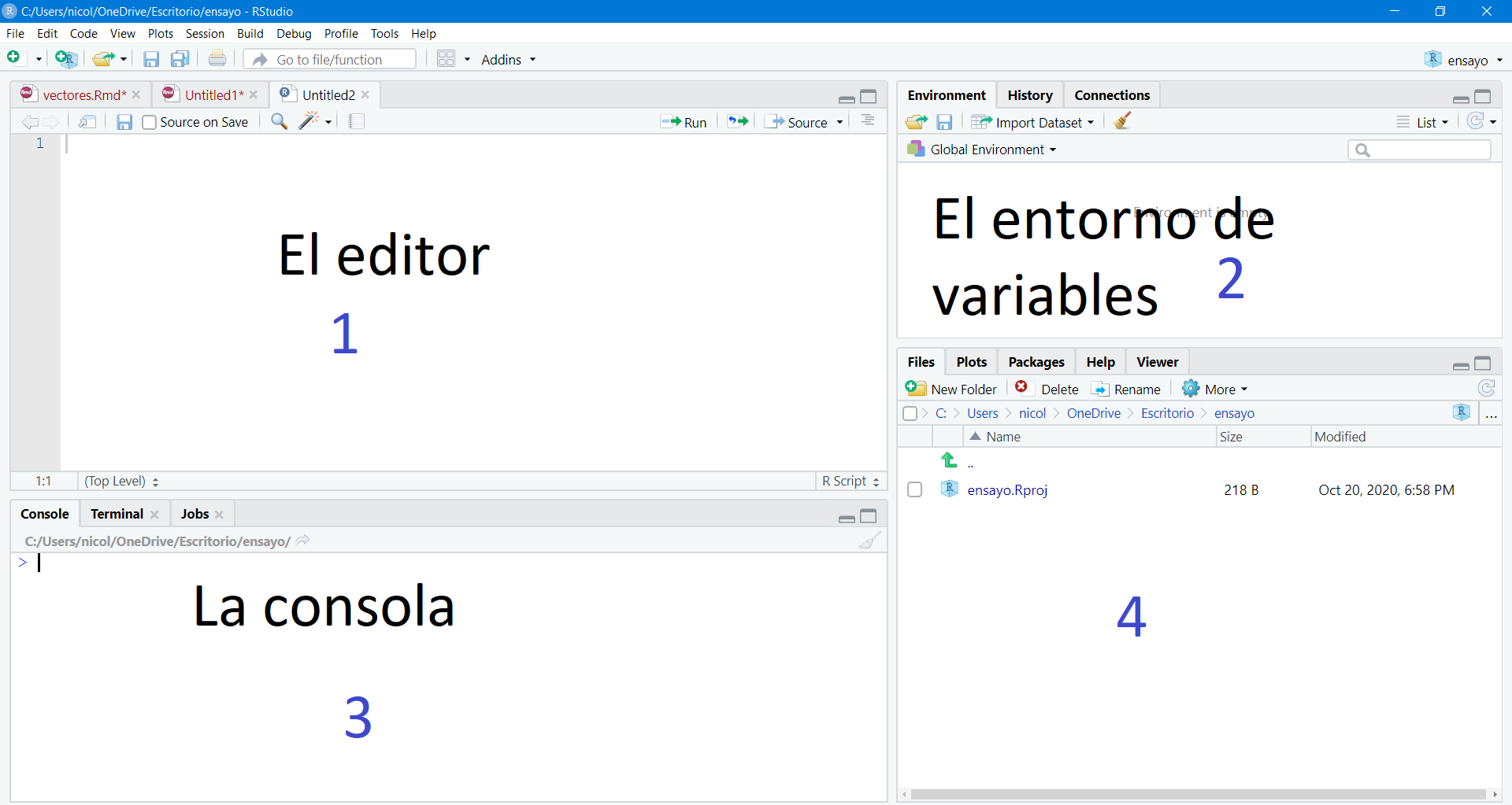 ventanas de R_Studio.